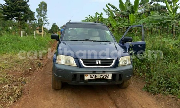 Buy Used Honda CR-V Blue Car in Busia in Uganda Buy Used Honda CR-V Blue Car in Busia in Uganda