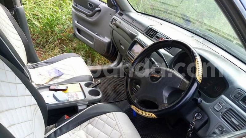 Big with watermark 18954797 10109901822210850 5806381462207131836 o