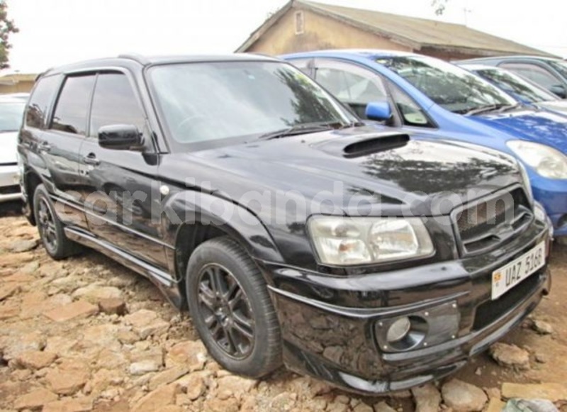 Big with watermark abg1