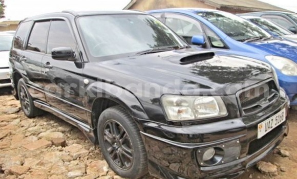 Buy Used Subaru Forester Black Car in Kampala in Uganda Buy Used Subaru Forester Black Car in Kampala in Uganda
