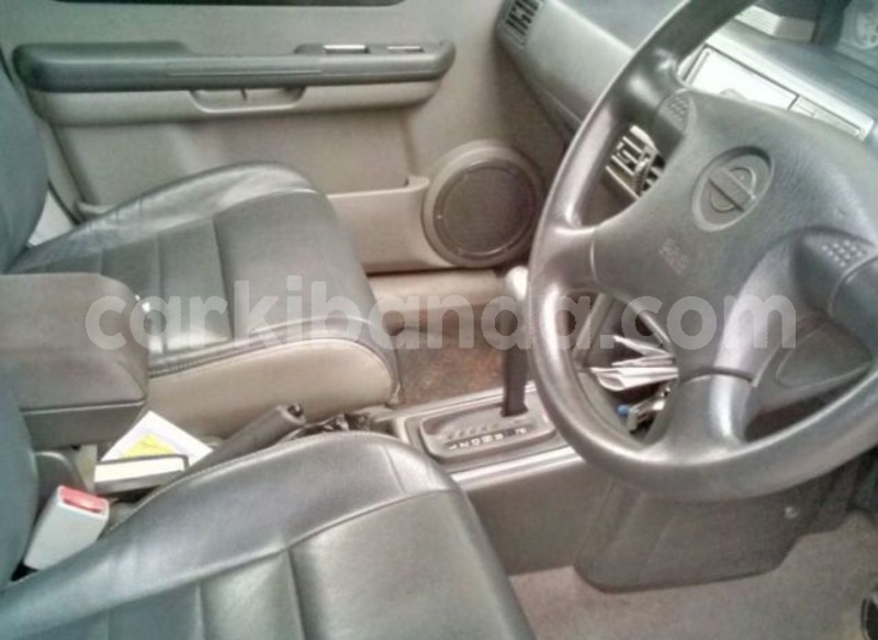 Big with watermark xyu2