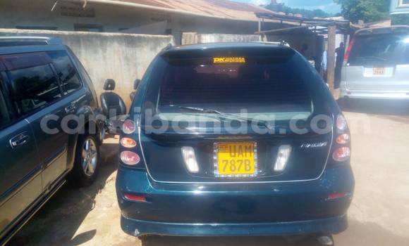 Buy Used Toyota Nadia Green Car in Kampala in Uganda Buy Used Toyota Nadia Green Car in Kampala in Uganda