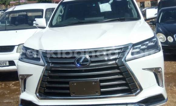 Buy Used Lexus LX 570 White Car in Kampala in Uganda Buy Used Lexus LX 570 White Car in Kampala in Uganda