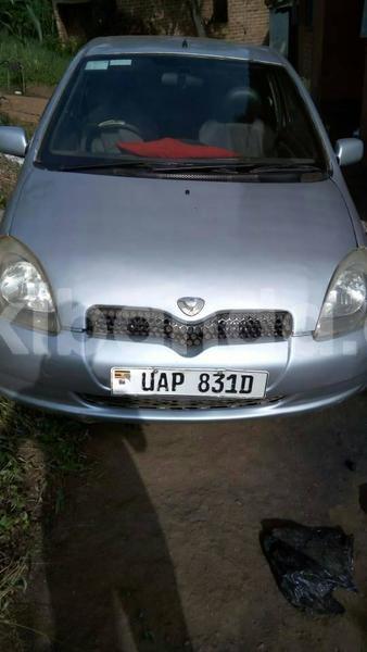 Big with watermark 18952779 709237862582138 3608237861038673941 n