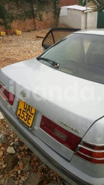 Big with watermark 18952779 709237862582138 3608237861038673941 n