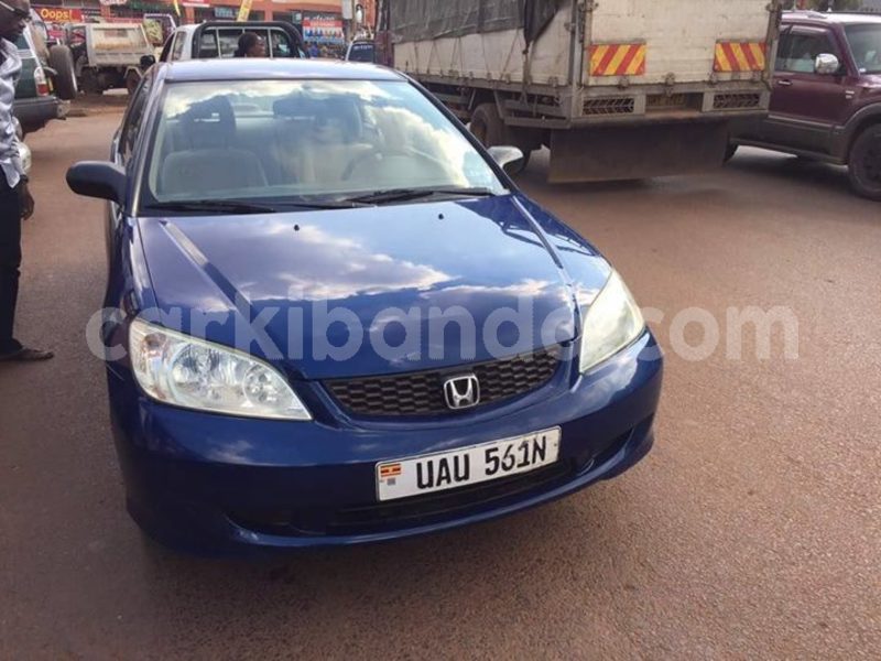 Big with watermark 18952779 709237862582138 3608237861038673941 n