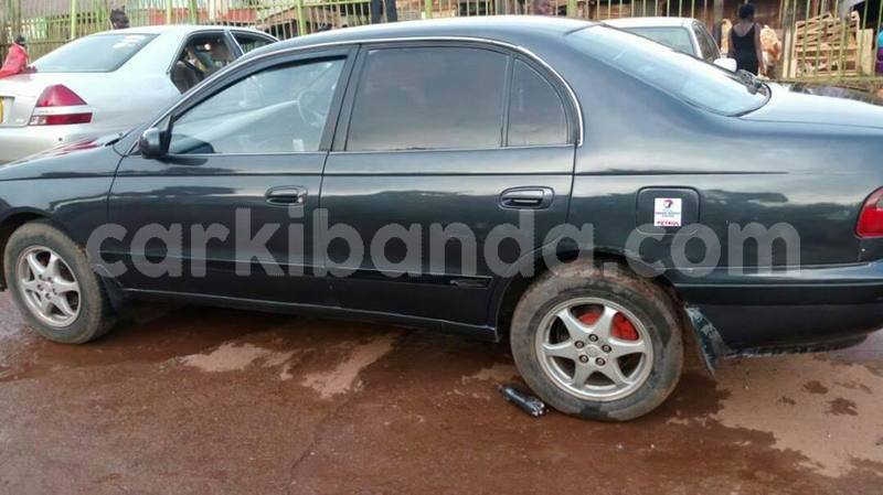 Big with watermark 18954797 10109901822210850 5806381462207131836 o