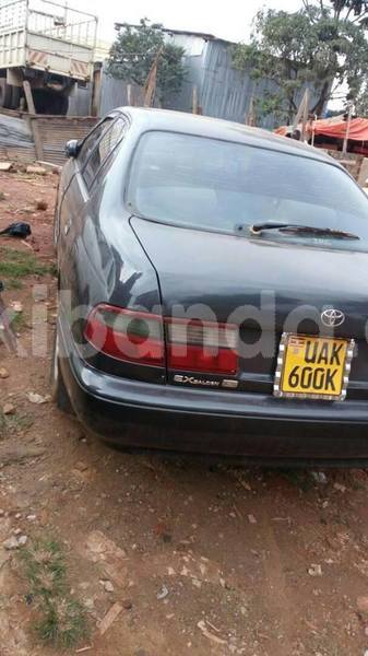 Big with watermark 18952779 709237862582138 3608237861038673941 n