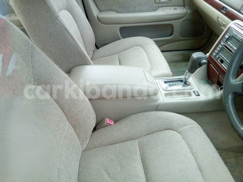 Big with watermark 19030339 709237869248804 8378660185752961642 n