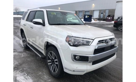 Acheter Import Voiture Toyota 4Runner Blanc à Import - Dubai, Ouganda Acheter Import Voiture Toyota 4Runner Blanc à Import - Dubai, Ouganda