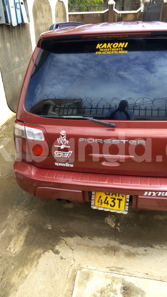 Big with watermark img 20171129 112617