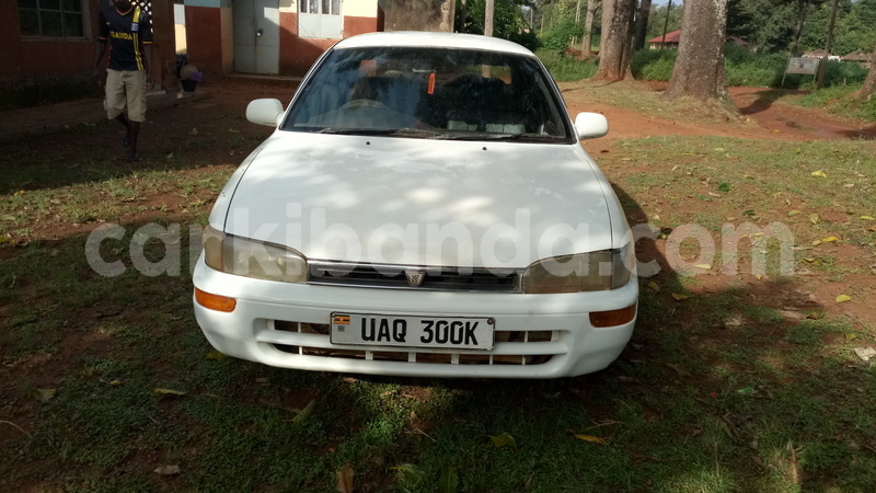 Big with watermark img 20171126 084119