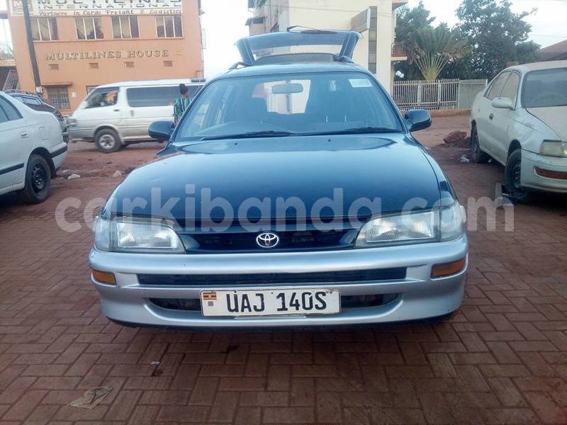 Big with watermark 24232301 2050220945211250 3380711595083633302 n