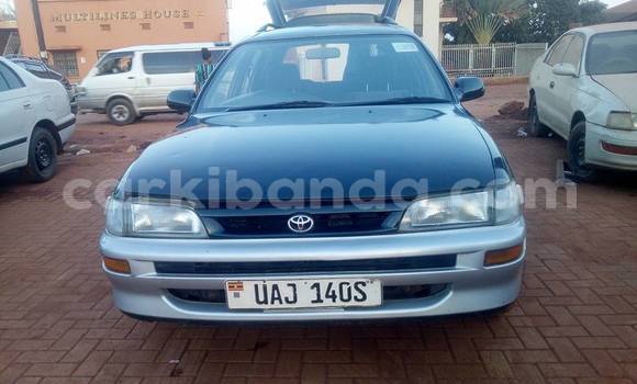 Buy Used Toyota Corolla Other Car in Busia in Uganda Buy Used Toyota Corolla Other Car in Busia in Uganda