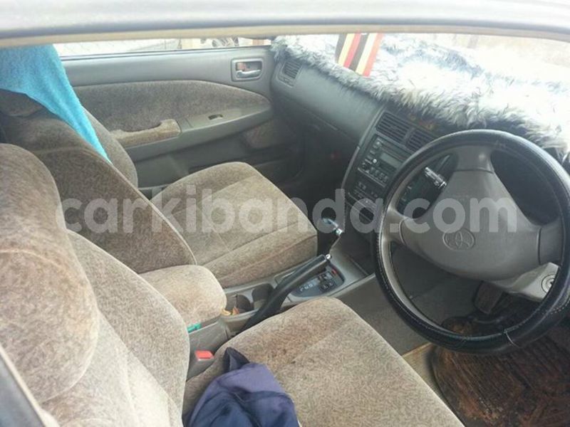 Big with watermark 24301371 2050220978544580 2610625417217181245 n