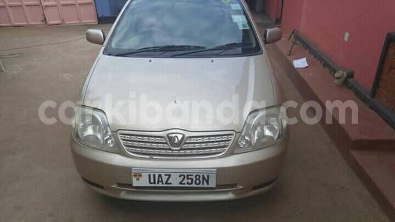 Big with watermark 24232301 2050220945211250 3380711595083633302 n