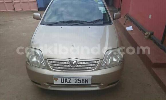 Buy Used Toyota Allex Other Car in Busia in Uganda Buy Used Toyota Allex Other Car in Busia in Uganda