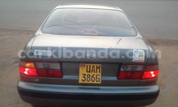 Buy Used Toyota Corona Other Car in Kampala in Uganda Buy Used Toyota Corona Other Car in Kampala in Uganda