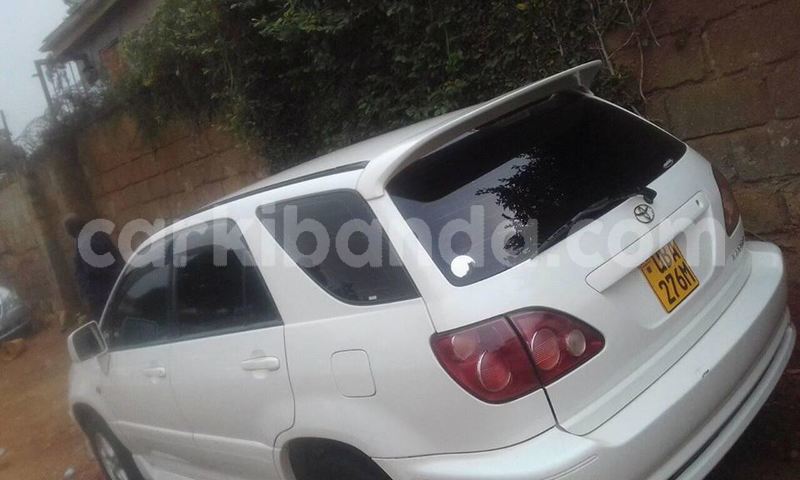 Big with watermark 25075045 1436706473124388 2663118157098388861 o