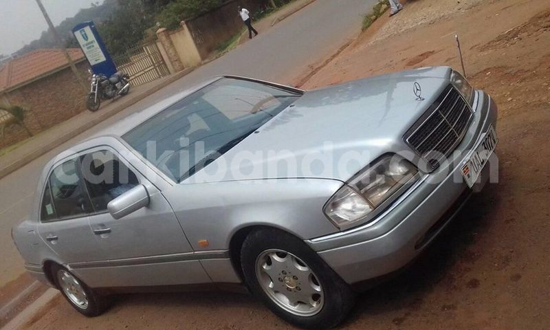 Big with watermark 25075045 1436706473124388 2663118157098388861 o