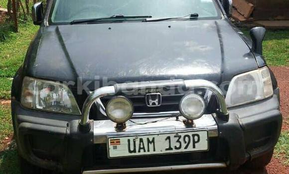 Buy Used Honda CR-V Black Car in Kampala in Uganda Buy Used Honda CR-V Black Car in Kampala in Uganda