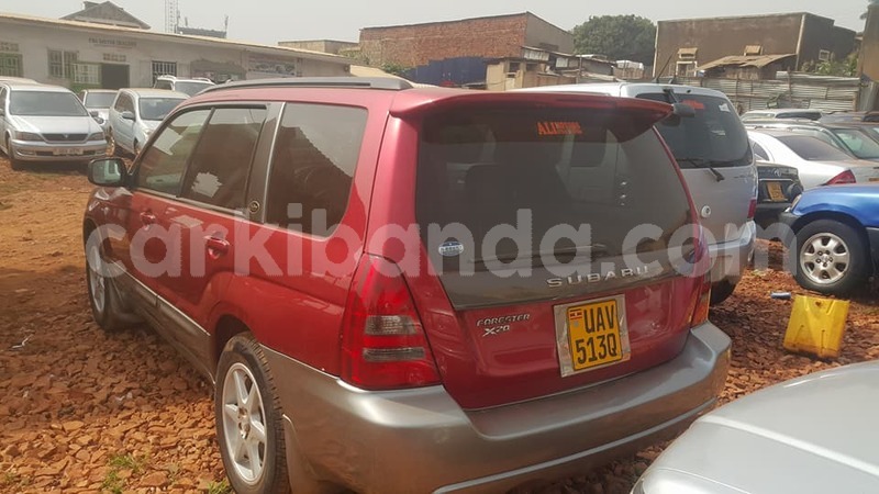 Big with watermark 25075045 1436706473124388 2663118157098388861 o