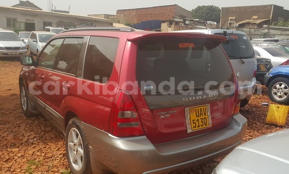 Buy Used Subaru Forester Red Car in Kampala in Uganda Buy Used Subaru Forester Red Car in Kampala in Uganda