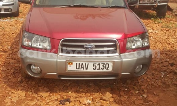 Buy Used Subaru Forester Red Car in Kampala in Uganda Buy Used Subaru Forester Red Car in Kampala in Uganda