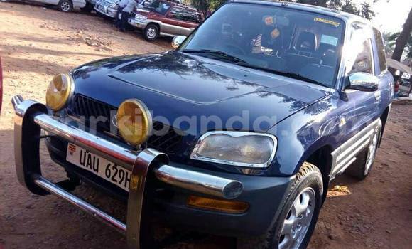 Buy Used Toyota RAV4 Blue Car in Kampala in Uganda Buy Used Toyota RAV4 Blue Car in Kampala in Uganda