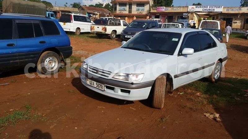 Big with watermark 24959109 1372679829509431 2290911251372580814 o