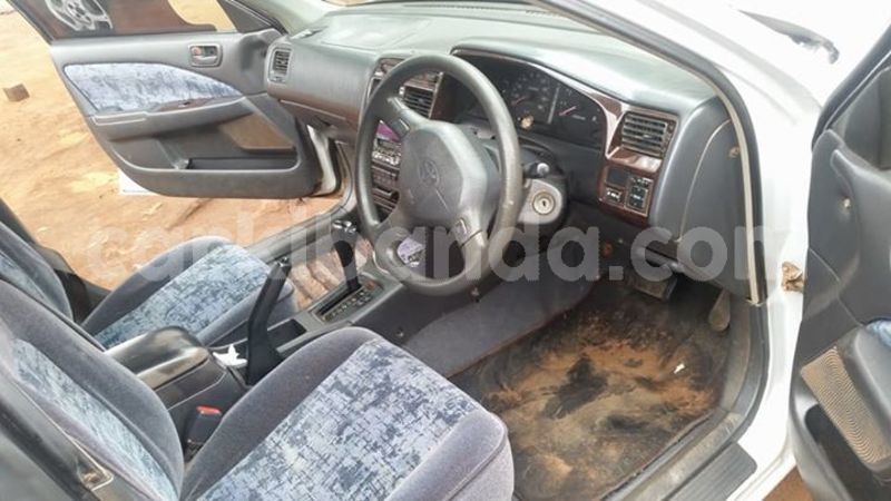 Big with watermark 25075045 1436706473124388 2663118157098388861 o