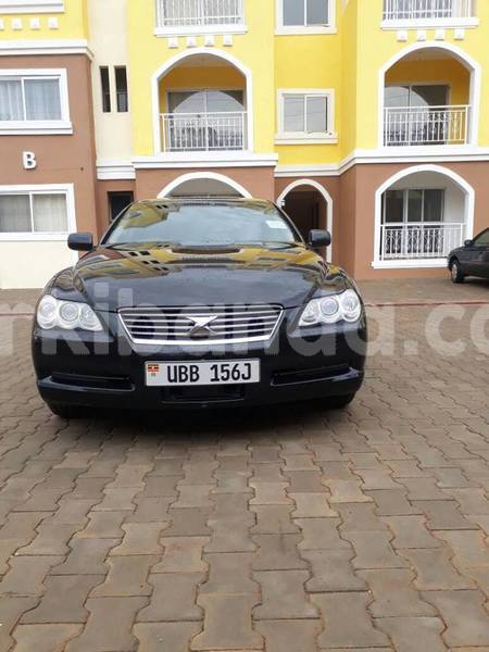 Big with watermark 25075045 1436706473124388 2663118157098388861 o