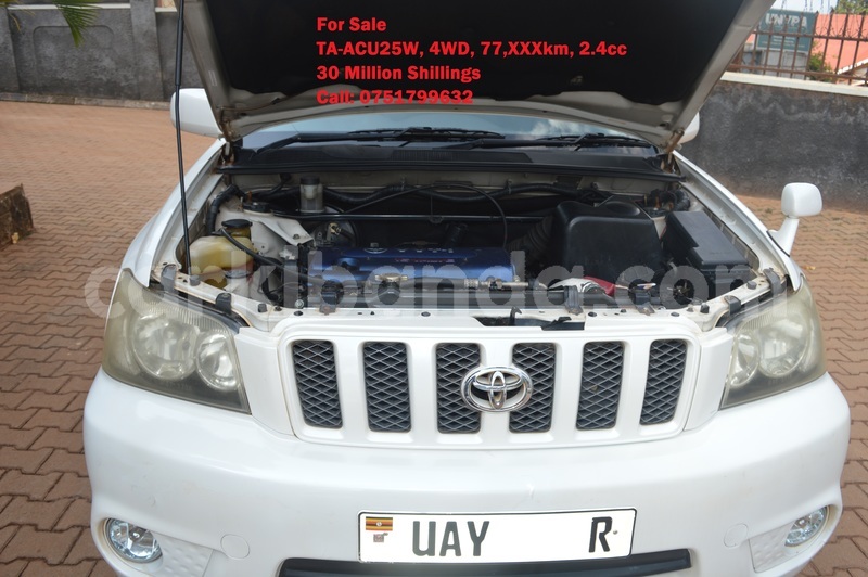 Big with watermark dsc 0154