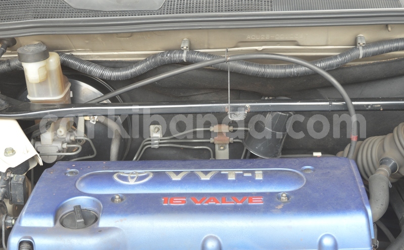 Big with watermark dsc 0153