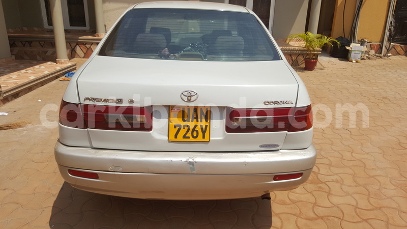 Big with watermark 15155799502461685075195