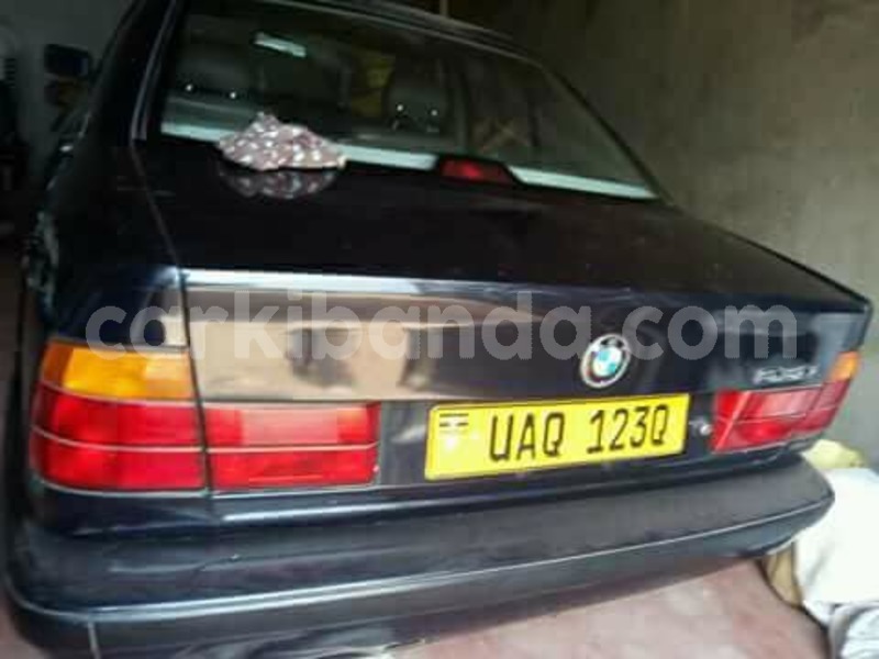 Big with watermark 24959109 1372679829509431 2290911251372580814 o