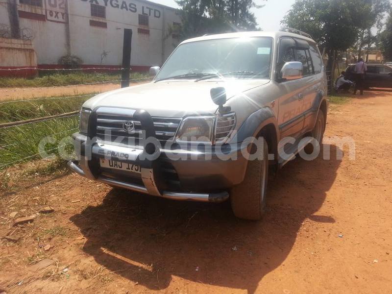 Big with watermark 24959109 1372679829509431 2290911251372580814 o