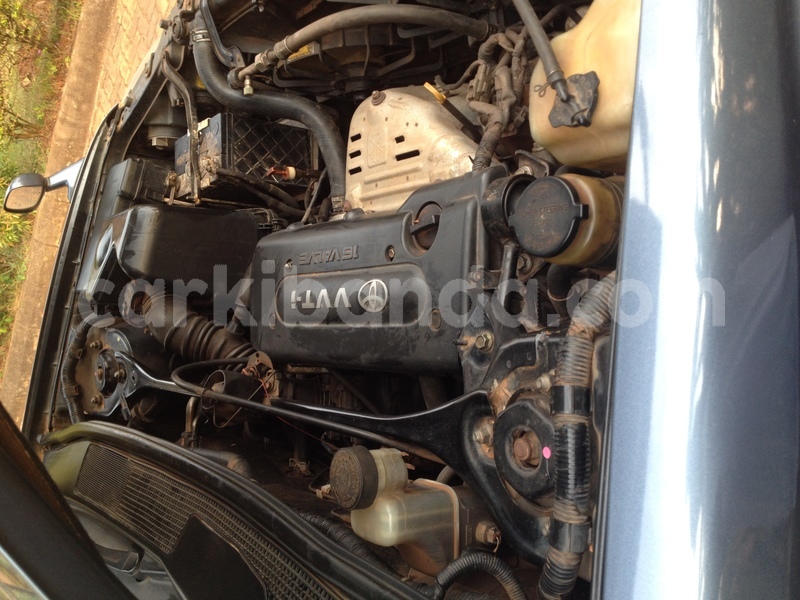 Big with watermark img 3509