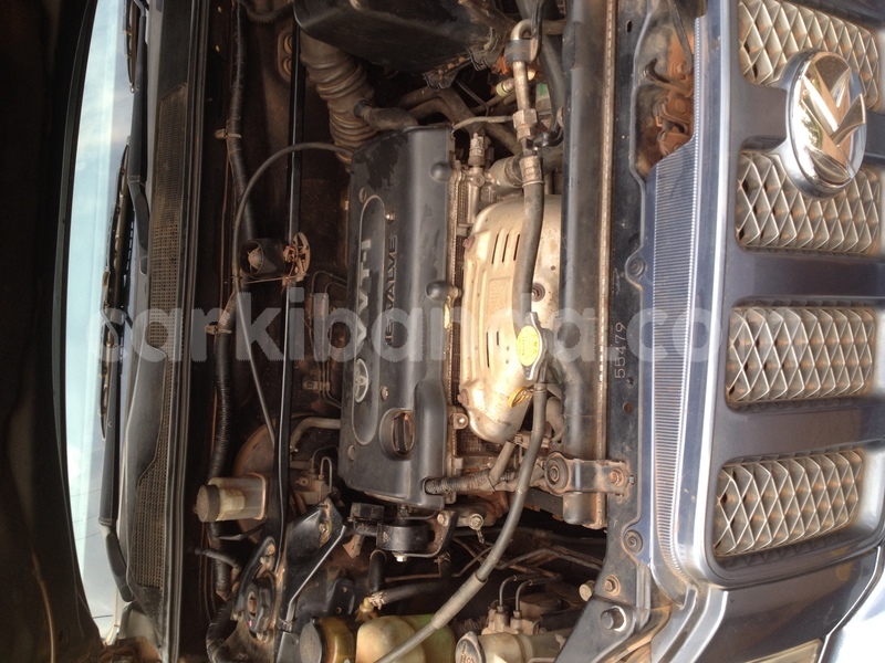 Big with watermark img 3510