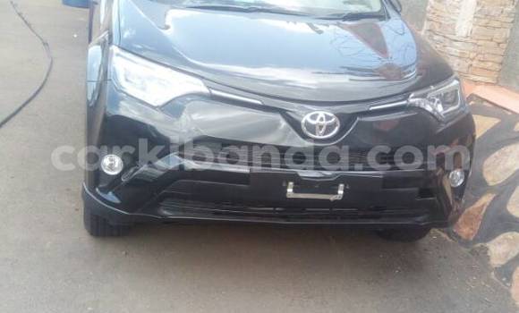 Buy Used Toyota RAV4 Black Car in Kampala in Uganda Buy Used Toyota RAV4 Black Car in Kampala in Uganda