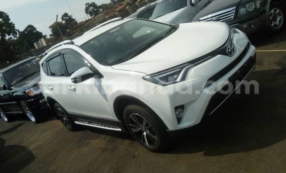 Buy Used Toyota RAV4 White Car in Kampala in Uganda Buy Used Toyota RAV4 White Car in Kampala in Uganda