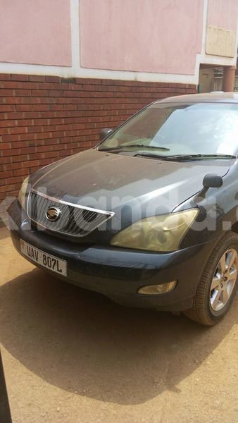 Big with watermark 25152125 1436706493124386 3988117729400250843 n