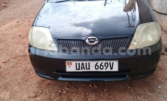 Buy Used Toyota Runx Black Car in Kampala in Uganda Buy Used Toyota Runx Black Car in Kampala in Uganda