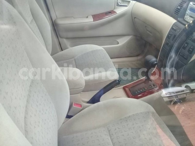 Big with watermark 25152125 1436706493124386 3988117729400250843 n