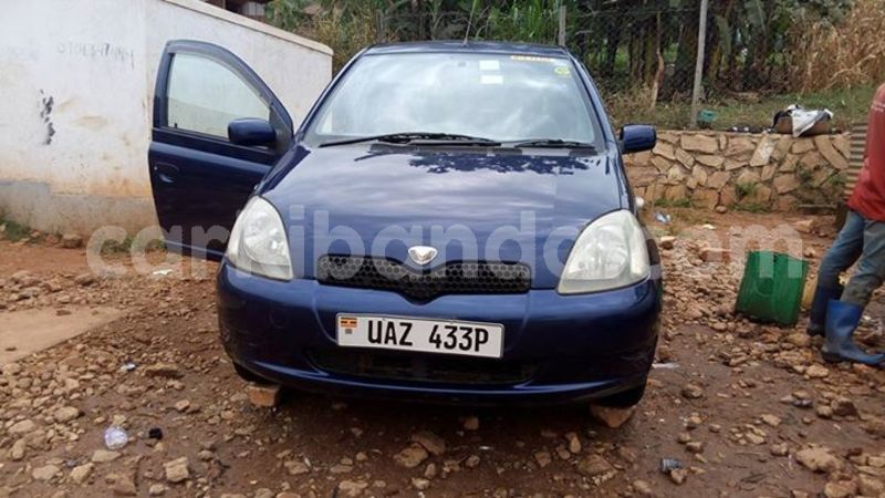 Big with watermark 25075045 1436706473124388 2663118157098388861 o