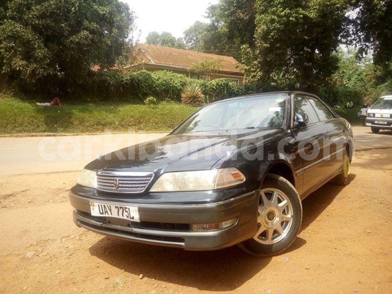 Big with watermark 24959109 1372679829509431 2290911251372580814 o