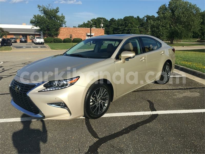 Big with watermark 2