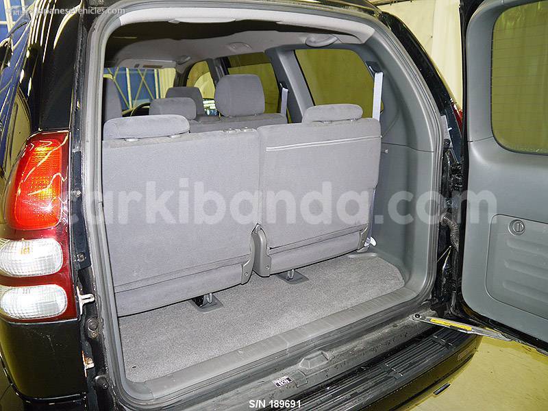 Big with watermark 189691 7