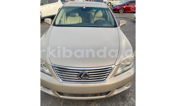 Buy Import Lexus LS Other Car in Import - Dubai in Uganda Buy Import Lexus LS Other Car in Import - Dubai in Uganda
