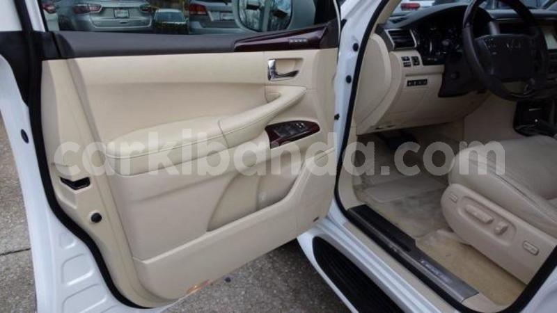 Big with watermark 10